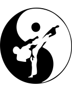 ESEMPIO SQUADRA ARTI MARZIALI